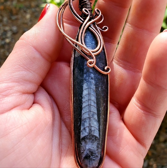New Oversized Orthoceras Fossil Wire Wrapped Pendant. - Picture 1 of 15